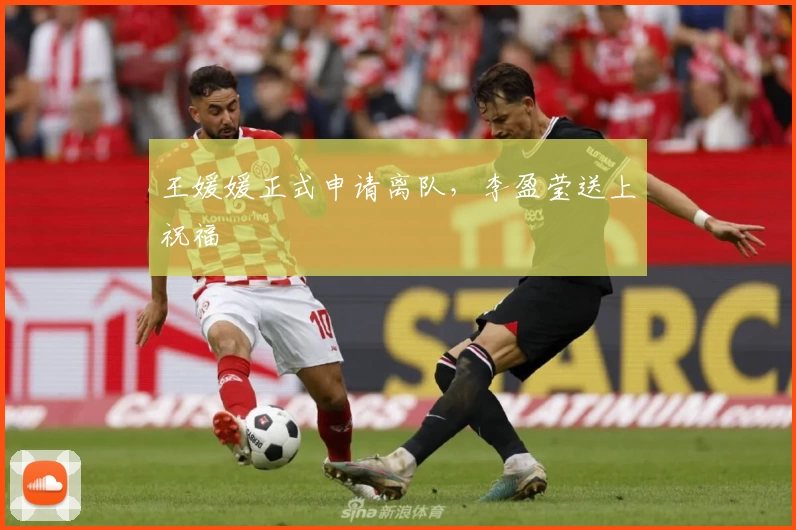 王媛媛正式申请离队，李盈莹送上祝福