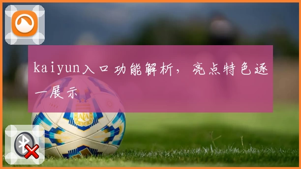 kaiyun入口功能解析，亮点特色逐一展示