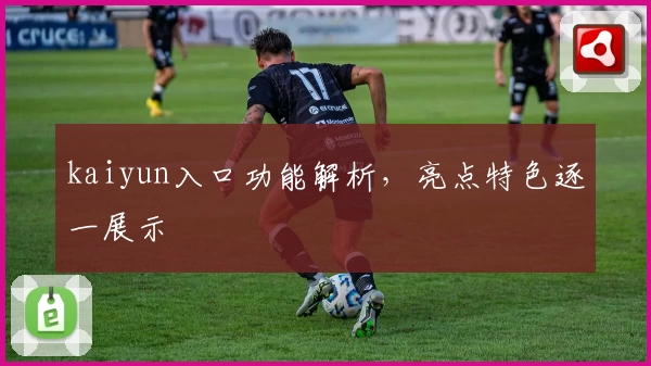 kaiyun入口功能解析,亮点特色逐一展示