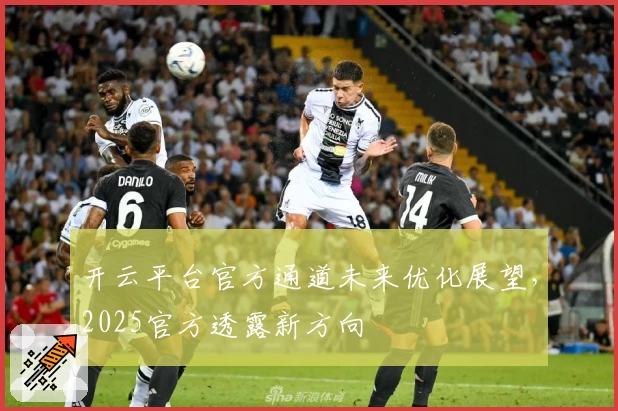 开云平台官方通道未来优化展望，2025官方透露新方向
